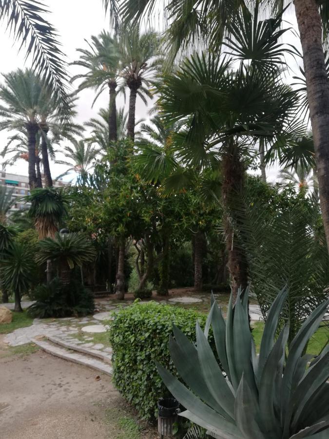 Penthouse Op Toplocatie Orihuela Esterno foto